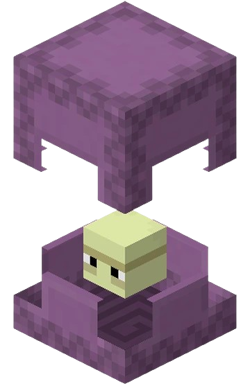 Minecraft Shulker: The Levitation Trap