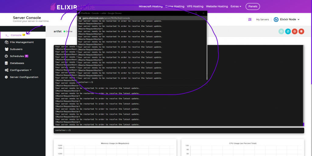 ElixirNode game panel console popup