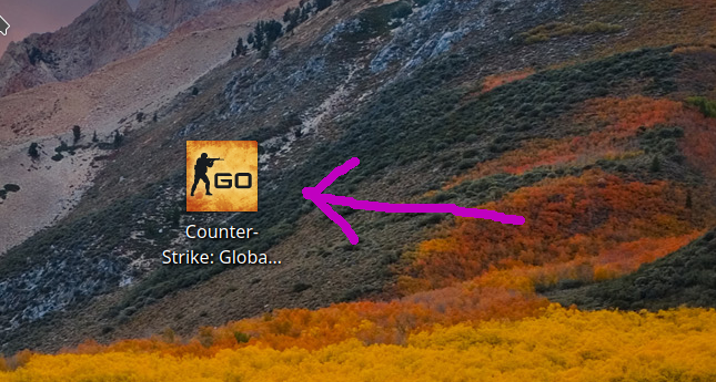 The CS:GO desktop icon to start the game