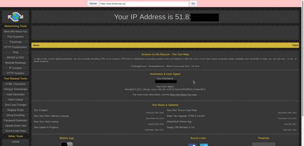 IP address of the web proxy