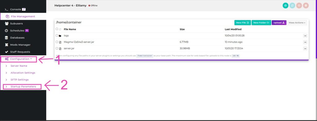 Elixirnode game panel startup parameters location