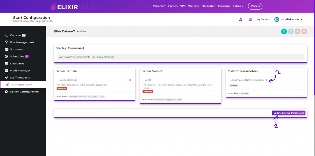elixirnode game panel startup parameters page